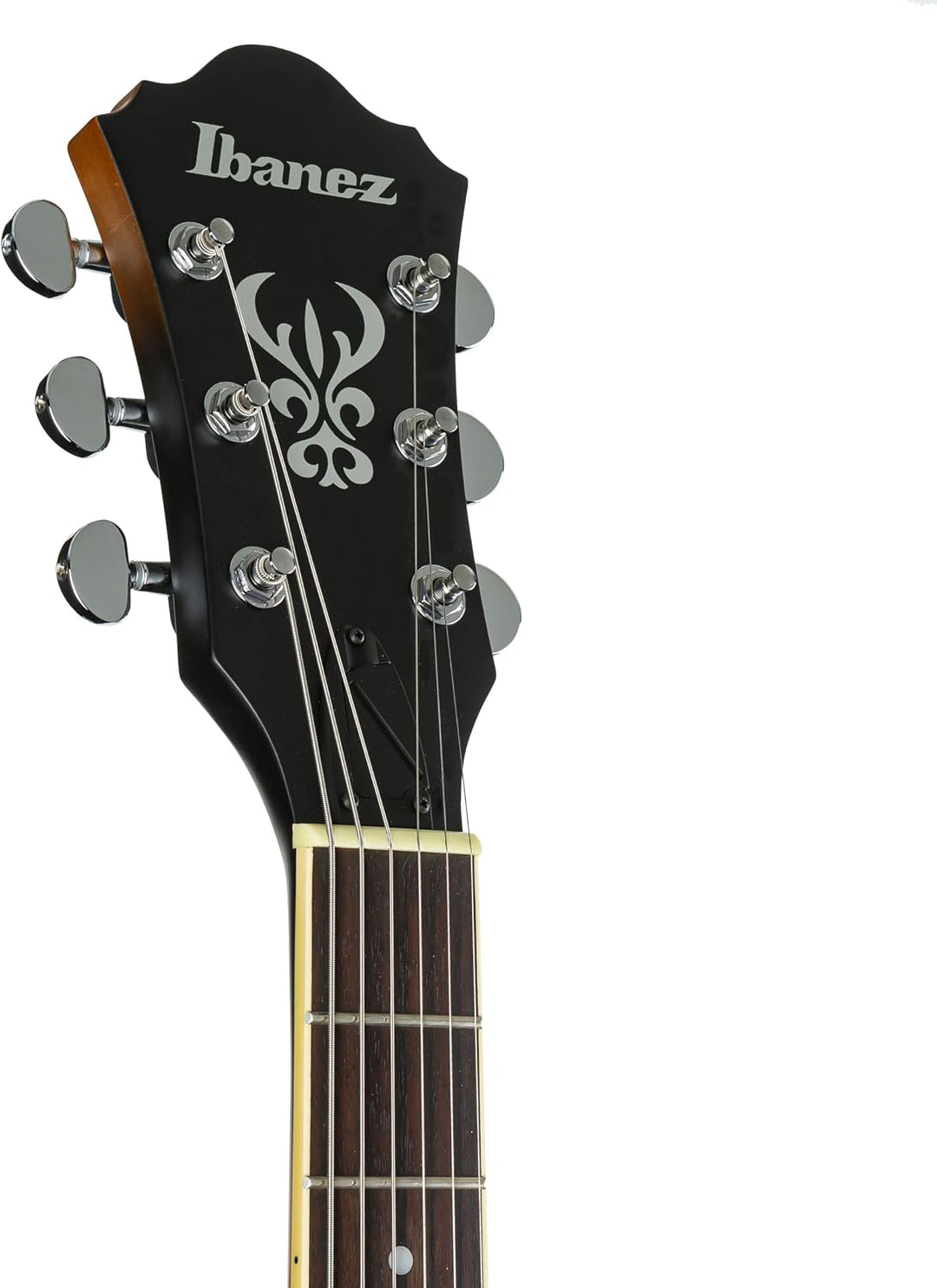 Ibanez AS53-TF Guitars