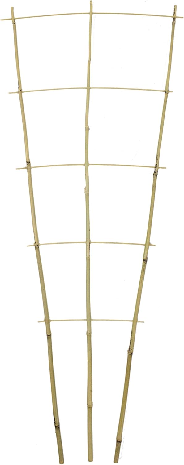 DARO DEKO Bambusrohr Rankgitter 44 x 110cm 40 Stück, 44 x 110cm 40 Stück