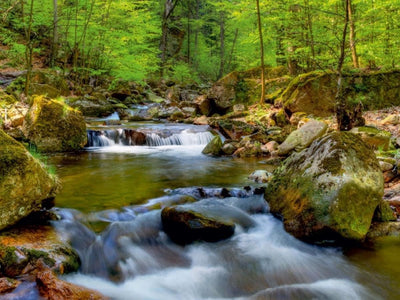 CALVENDO Puzzle Ilsetal bei Ilsenburg 1000 Teile Lege-Grösse 64 x 48 cm Foto-Puzzle Bild von Steffen