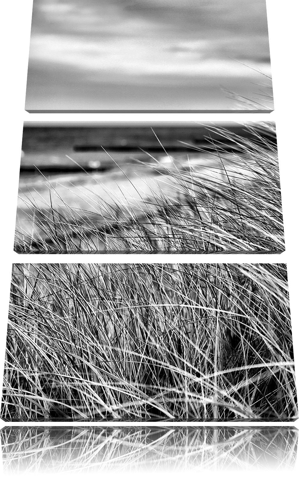 Pixxprint Monocrome, Sanddünen mit Schilfgras am Meer 3-Teiler Leinwandbild 120x80 Bild auf Leinwand