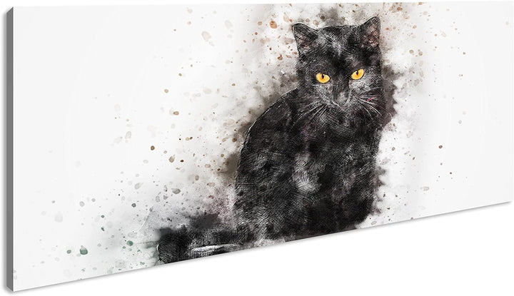 Katze Hauskatze Panorama 80x40 cm als Leinwandbild, Motiv fertig gerahmt auf Echtholzrahmen, Hochwer