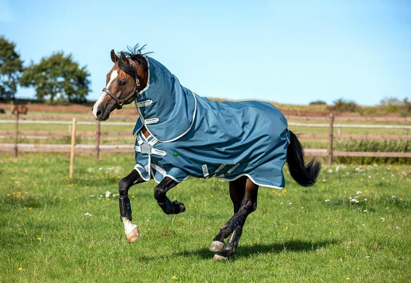 Horseware AmEco Bravo 12 Plus Turnout 0g - Teal/Grey 155/206 Cm, 155/206 Cm
