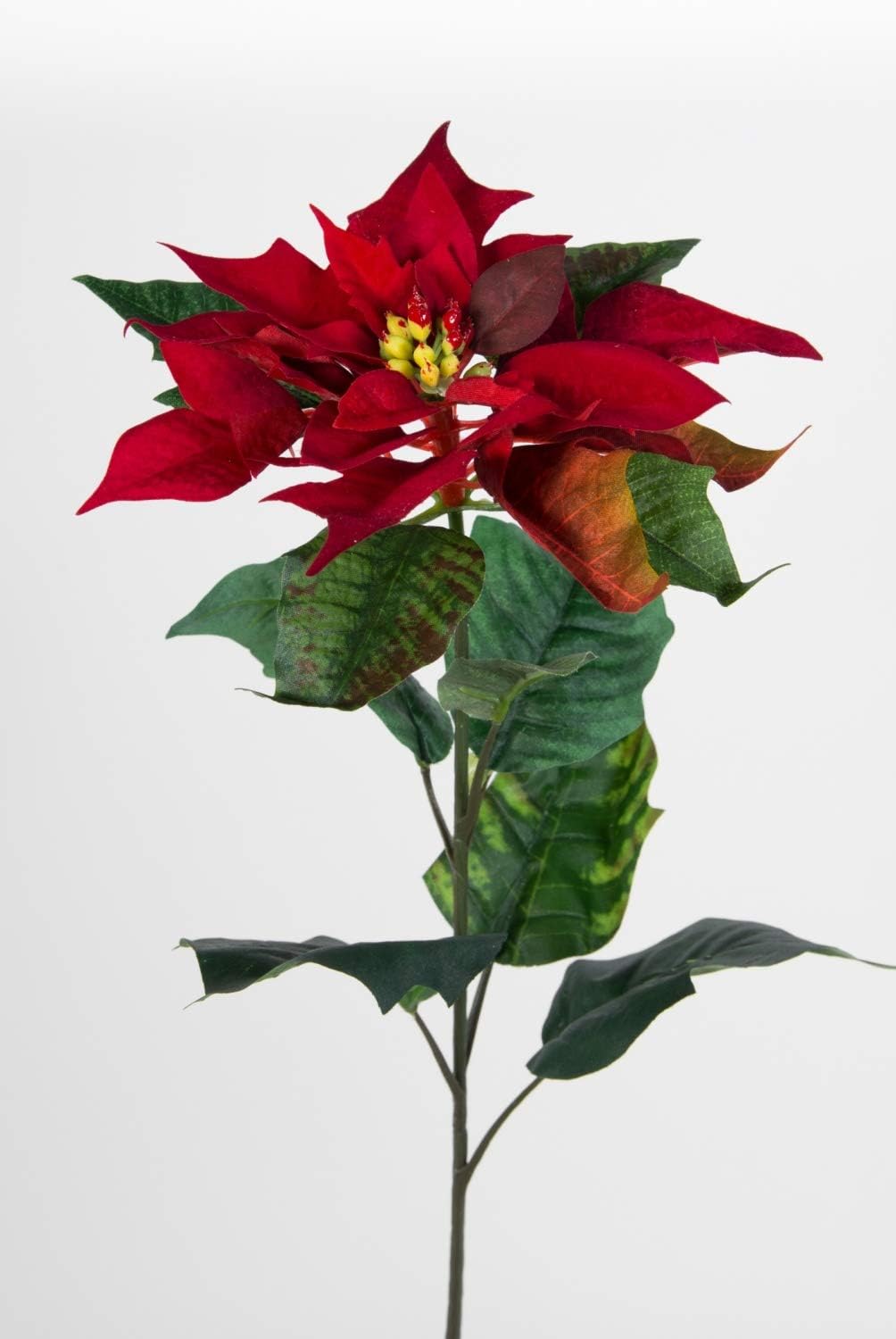 Seidenblumen Ross 12 Stück Weihnachtsstern Natura 72cm samt-rot PM Kunstblumen künstliche Blumen Poi