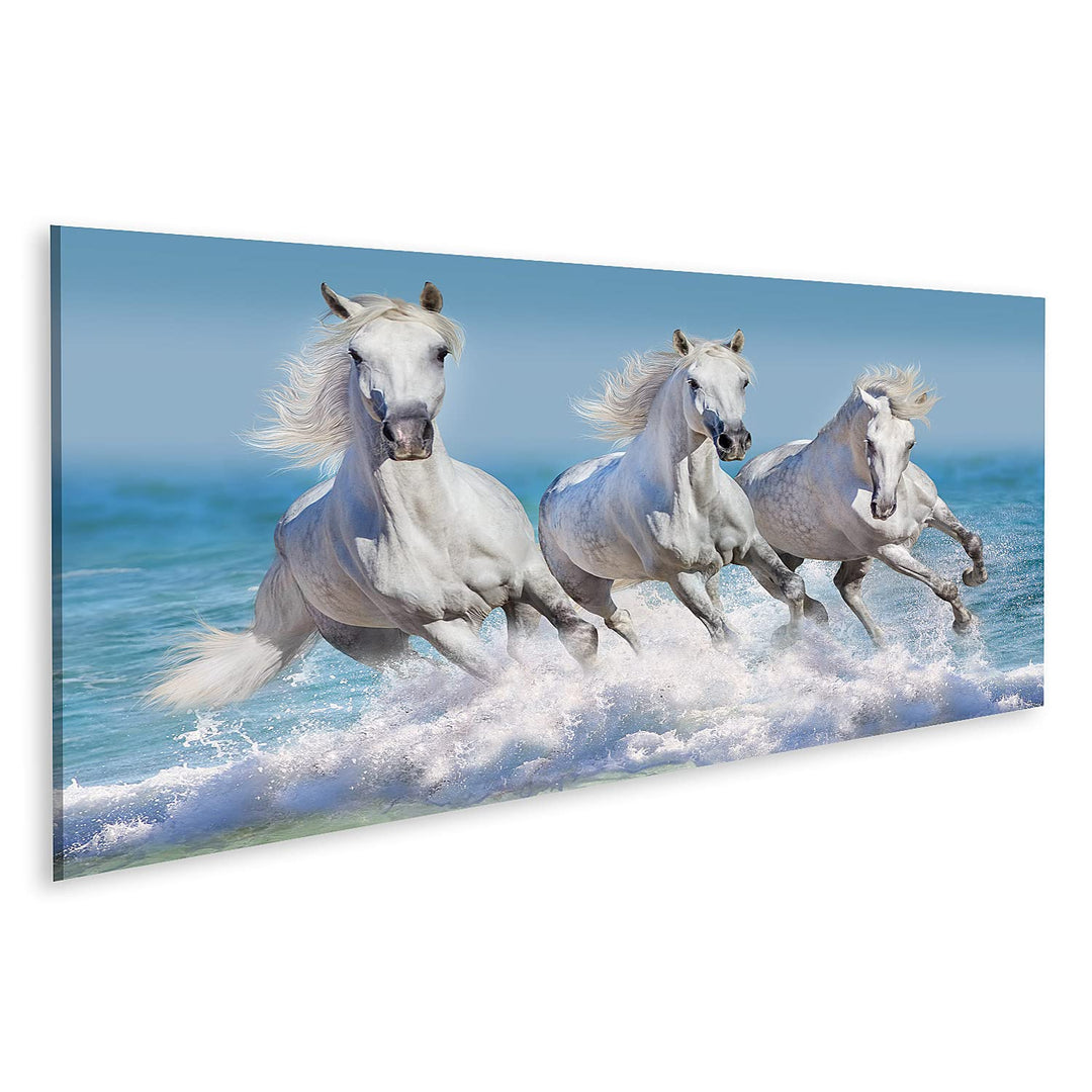 islandburner Bild auf Leinwand Pferde Wasser Weisses Pferd Herde Kinderzimmer Reiten Bilder Wandbild