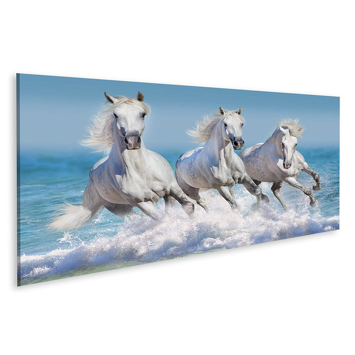 islandburner Bild auf Leinwand Pferde Wasser Weisses Pferd Herde Kinderzimmer Reiten Bilder Wandbild