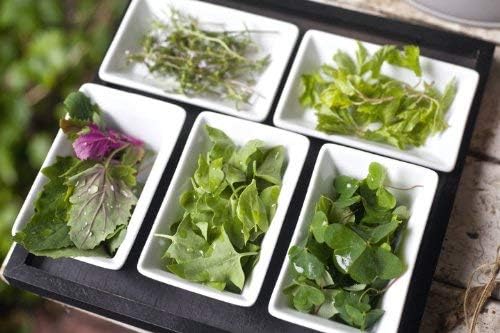 250°C Gratin Form rechteckig 34 cm