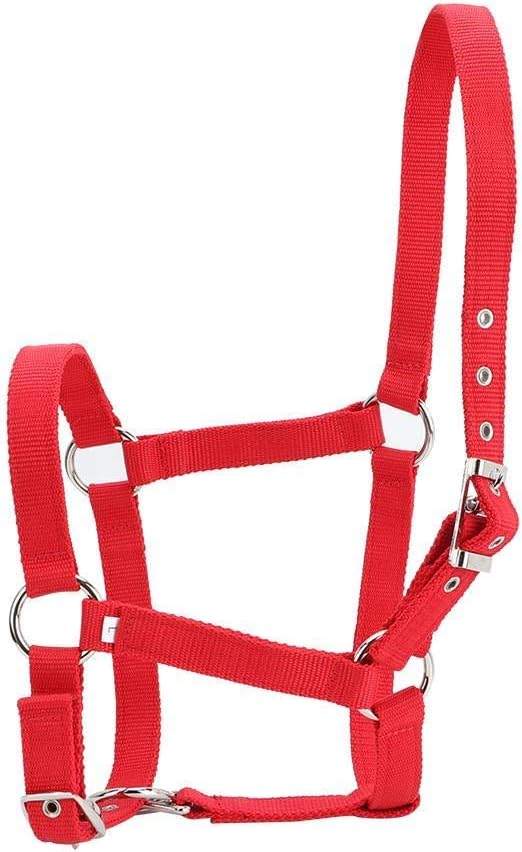 YOUTHINK Horse Halter High Density 6Mm Verdicktes Gurtband Horse Bridle Control Halfter Reitzubehör