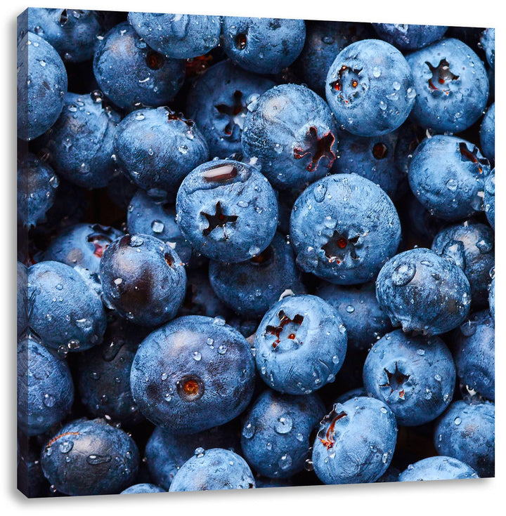 Pixxprint Blaubeeren mit Wassertropfen als Leinwandbild/Grösse: 70x70 cm/Wandbild/Kunstdruck/fertig
