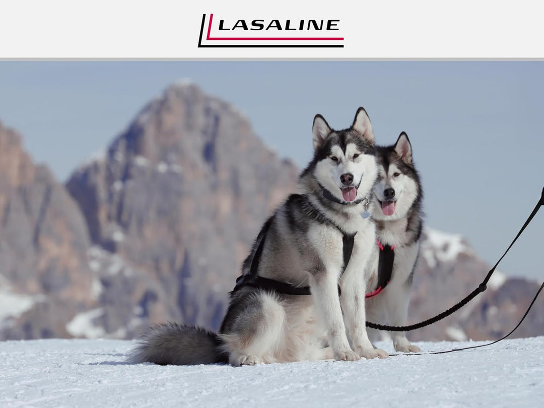 LASALINE Hunde Zuggeschirr X Back für Canicross Hundesport Dogscooter Bikejöring Schlitten in Schwar