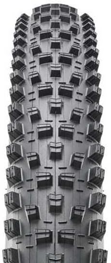 FOREKASTER 2022 Reifen – 29x2,60 – tr. flexibel - 3C Terra / Exo / Tubeless Ready