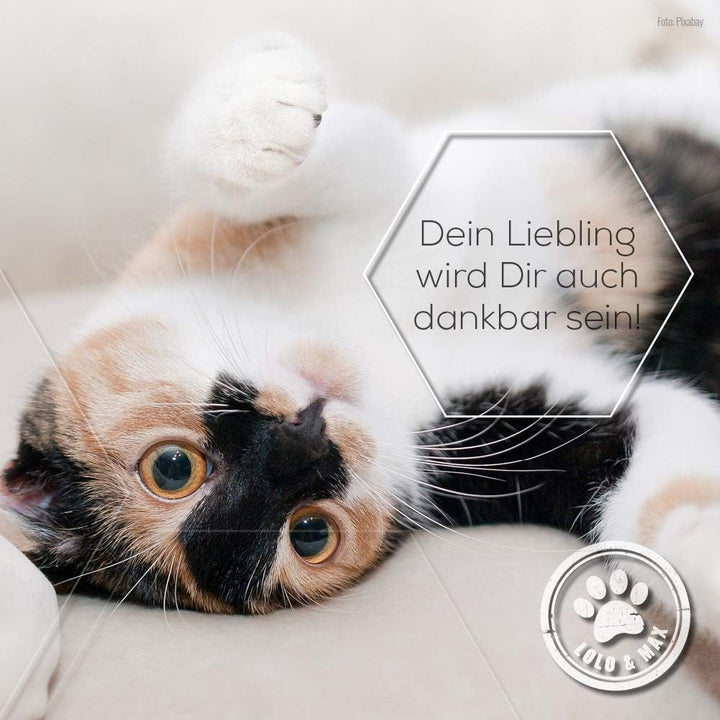 Lolo & Max Fusselbürste Kleidung - Fusselbürste – Tierhaarentferner -Tierhaare Aller Art – Wiederver