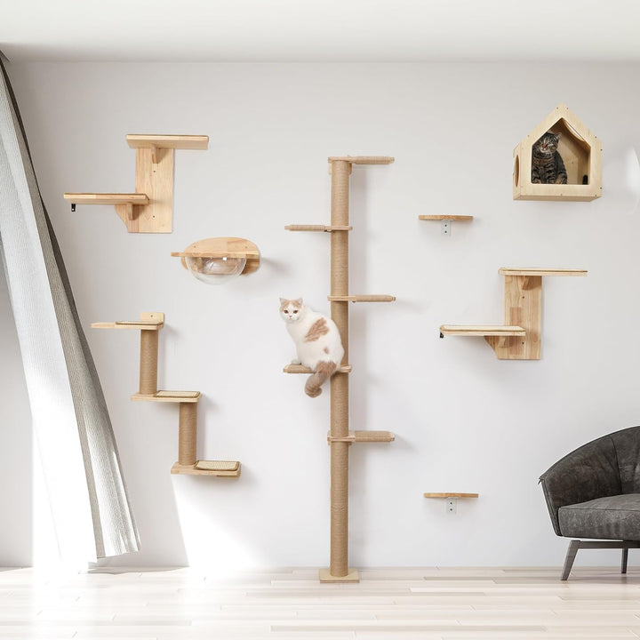 FUKUMARU Kletterwand Katze, Katze Wandregale aus Massives Gummiholz und Jute, 3 in 1 Transformable K