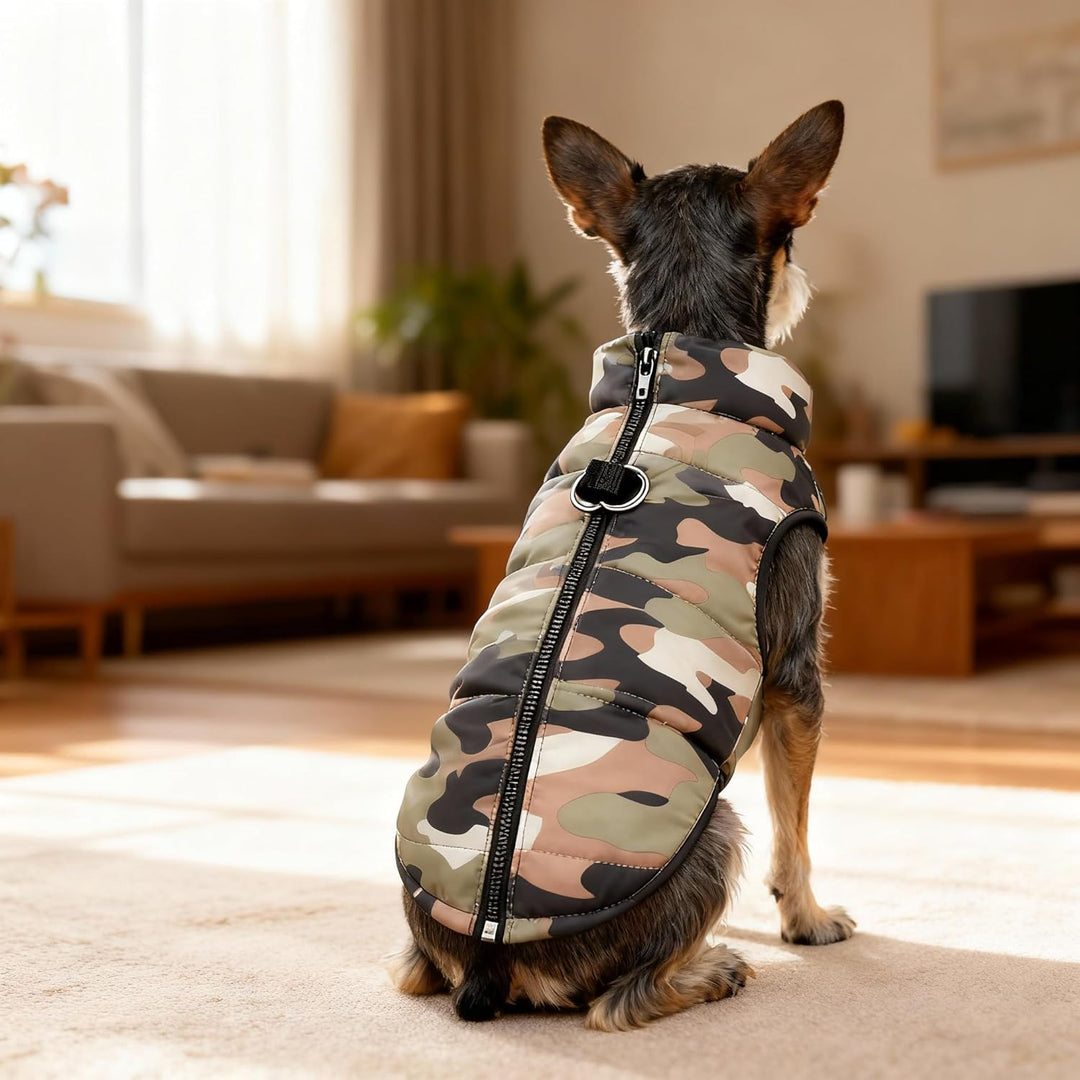 Hundemantel Winter Hundejacke Warme Hundemantel für Kleine Hunde Winddichte Hundeweste mit Geschirr