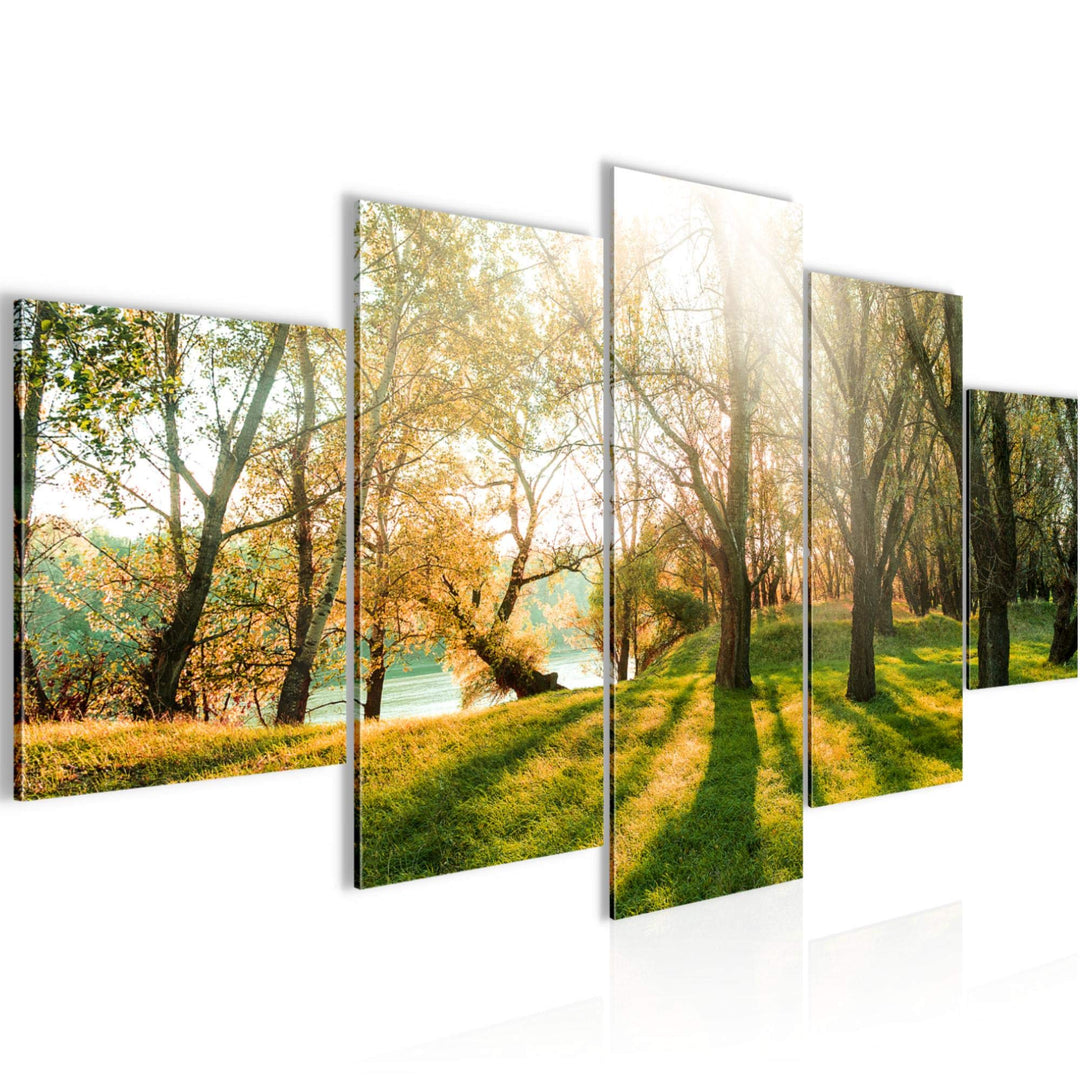 Runa Art Wandbilder Wald Landschaft 5 Teilig Bild auf Vlies Leinwand Deko Schlafzimmer Wohnzimmer So