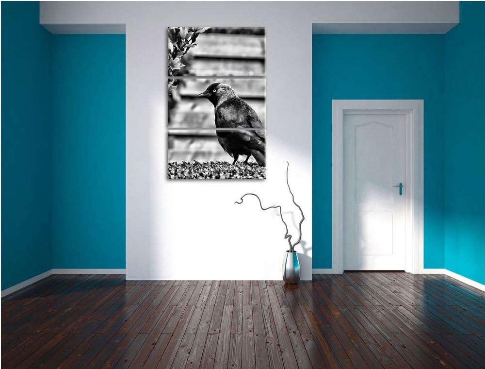 Pixxprint Vogel auf Gartenwiese als Leinwandbild/Grösse: 3 Teilig (120x80) cm/Wandbild/Kunstdruck/fe