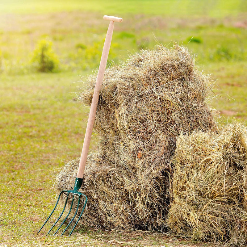 KADAX Heugabel, Forke, Spatengabel, Grabegabel, Mistgabel, Gabel für Garten, Drahtgabel mit Holzstie