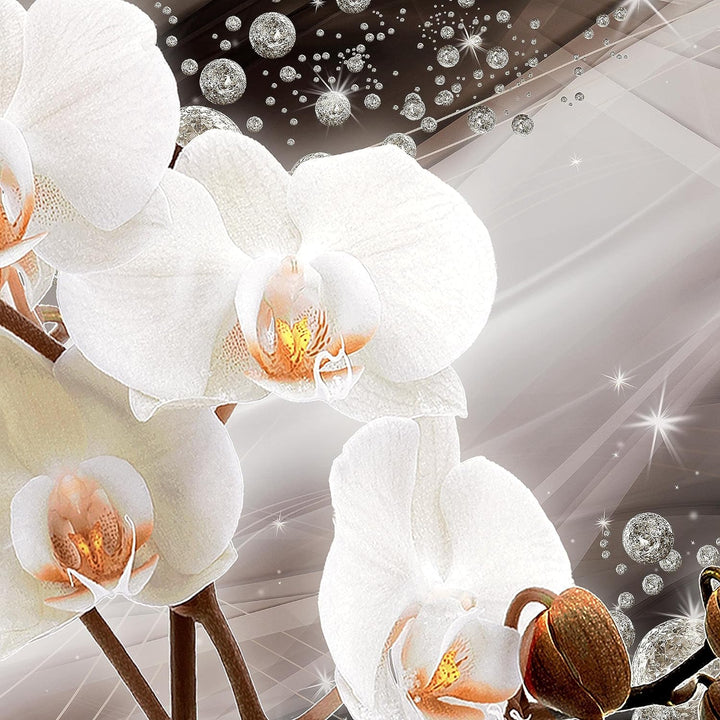 Runa Art Wandbilder Blumen Orchidee 5 Teilig Bild auf Vlies Leinwand Deko Wohnzimmer Abstrakt Diaman