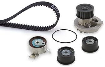GATES PowerGrip Kit + Wasserpumpe KP25542XS