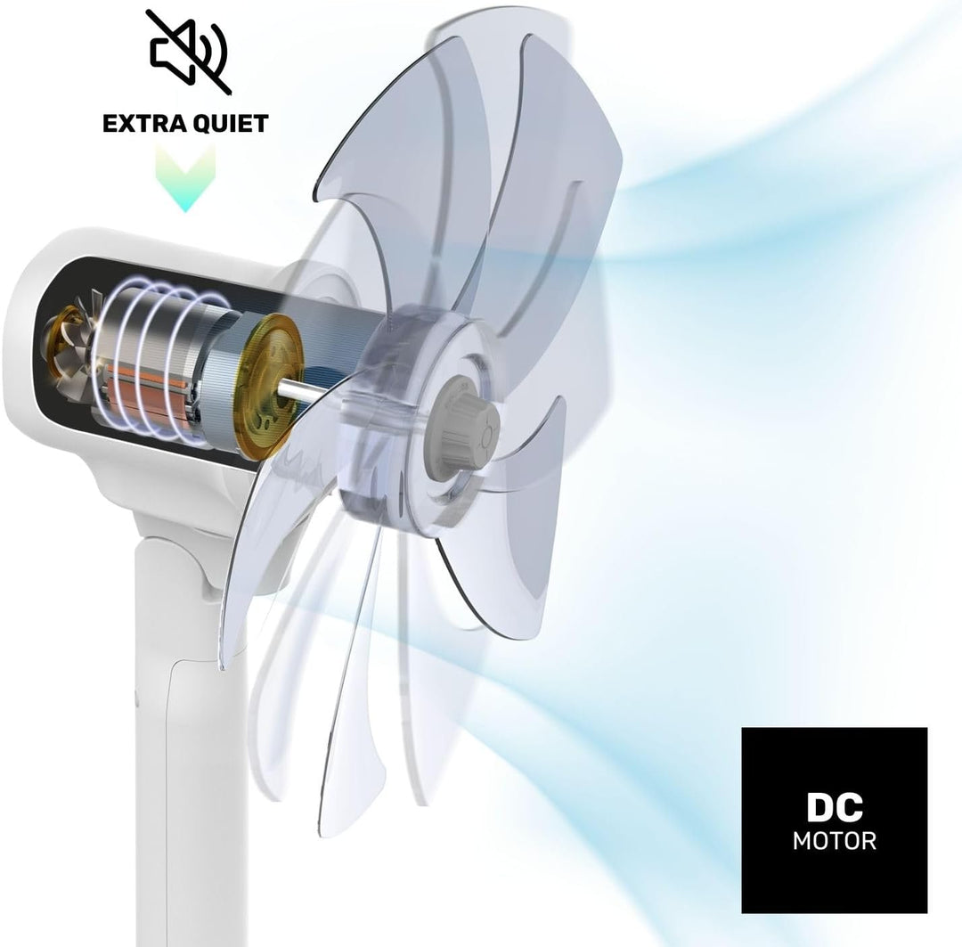Taurus - 3-in-1 Ventilator Ice Brise Silence 24W | Flüsterleiser DC-Motor | 3 Modi | 5 Flügel | Time