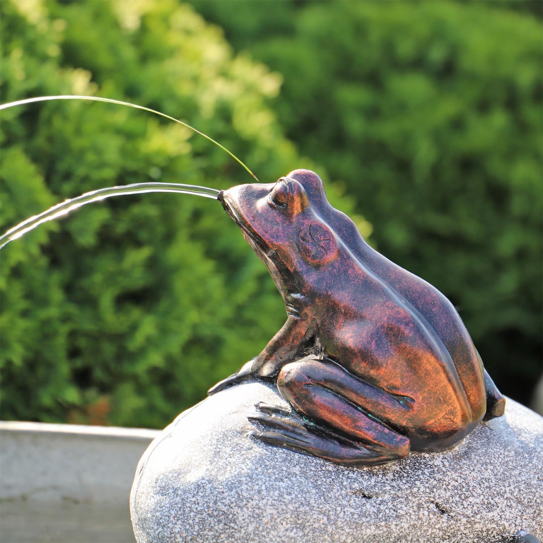 CLGarden Set Frosch Wasserspeier NSP10 Teichfigur Solarbrunnen mit Solar Pumpe für Teich Gartenteich