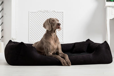 tierlando Moritz Hundebett Hundesofa M - XXXL 90 110 130 160 185 cm Grösse: M3 / M 80cm | Bezug: Pol