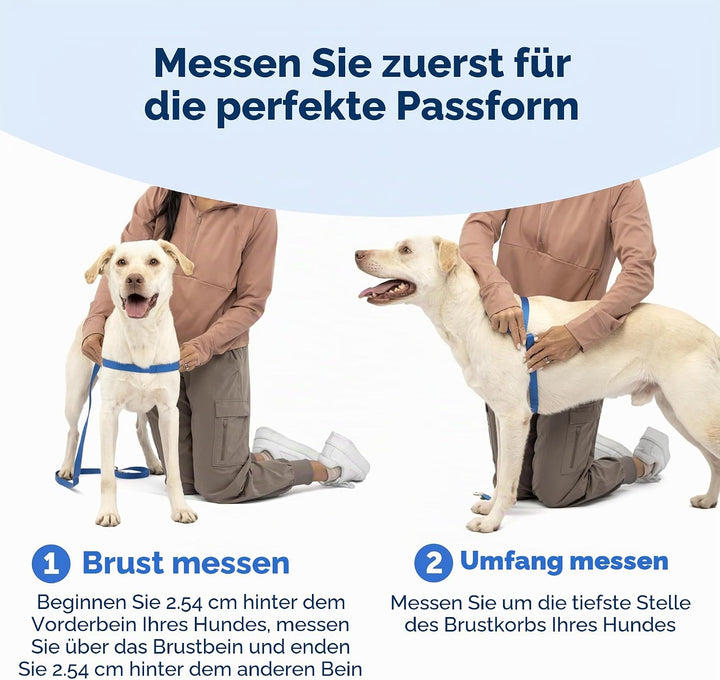 PetSafe Deluxe Easy Walk Hundegeschirr Stahlgrau / Schwarz Medium/Large, Stahlgrau / Schwarz Medium/
