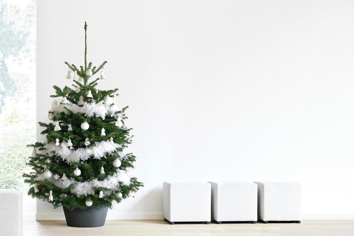 Ecopots Christbaumständer mit Wasserspeicher für Bäume bis 3,00 m Baumhöhe umkippsicher - Tannenbaum