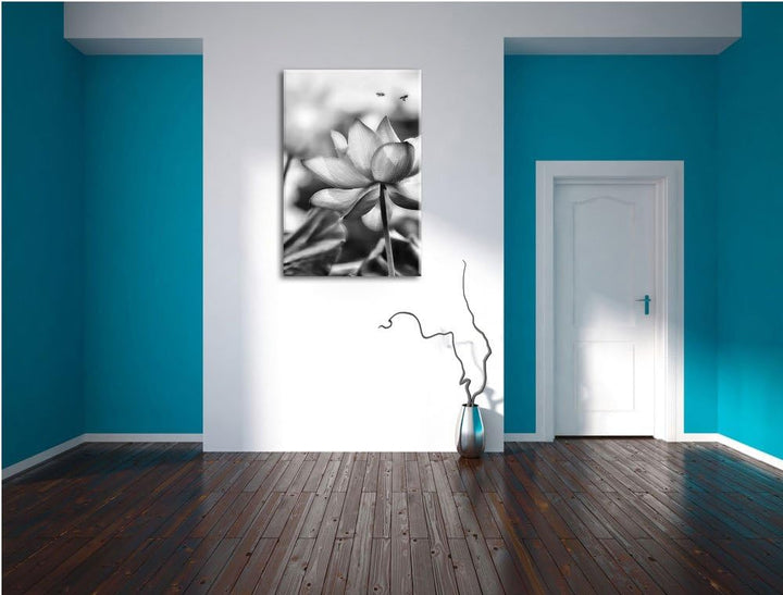 Pixxprint Lotus im Abendlicht / 100x70cm Leinwandbild bespannt auf Holzrahmen/Wandbild Kunstdruck De