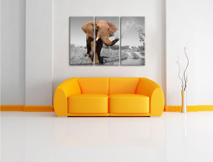 Pixxprint schöner Elefant spritzt mit Wasser als Leinwandbild/Grösse: 3 Teilig (120x80) cm/Wandbild/