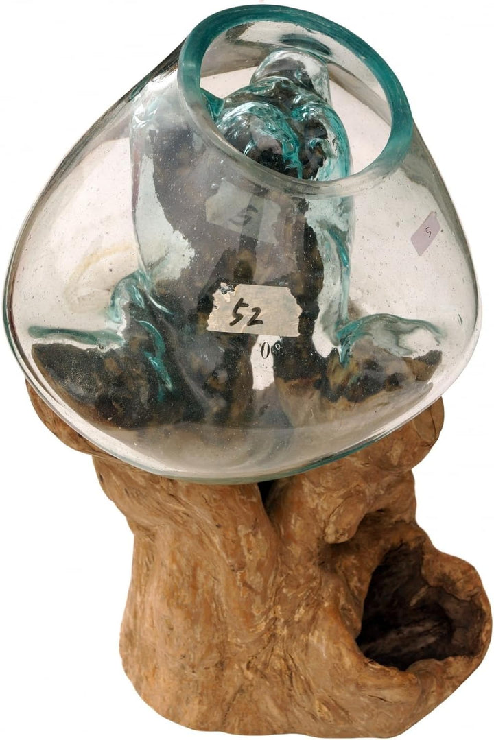 GURU SHOP Wurzelholz Vase - Ø Glas bis 30 cm M2, Ø Glas Bis 30 Cm M2