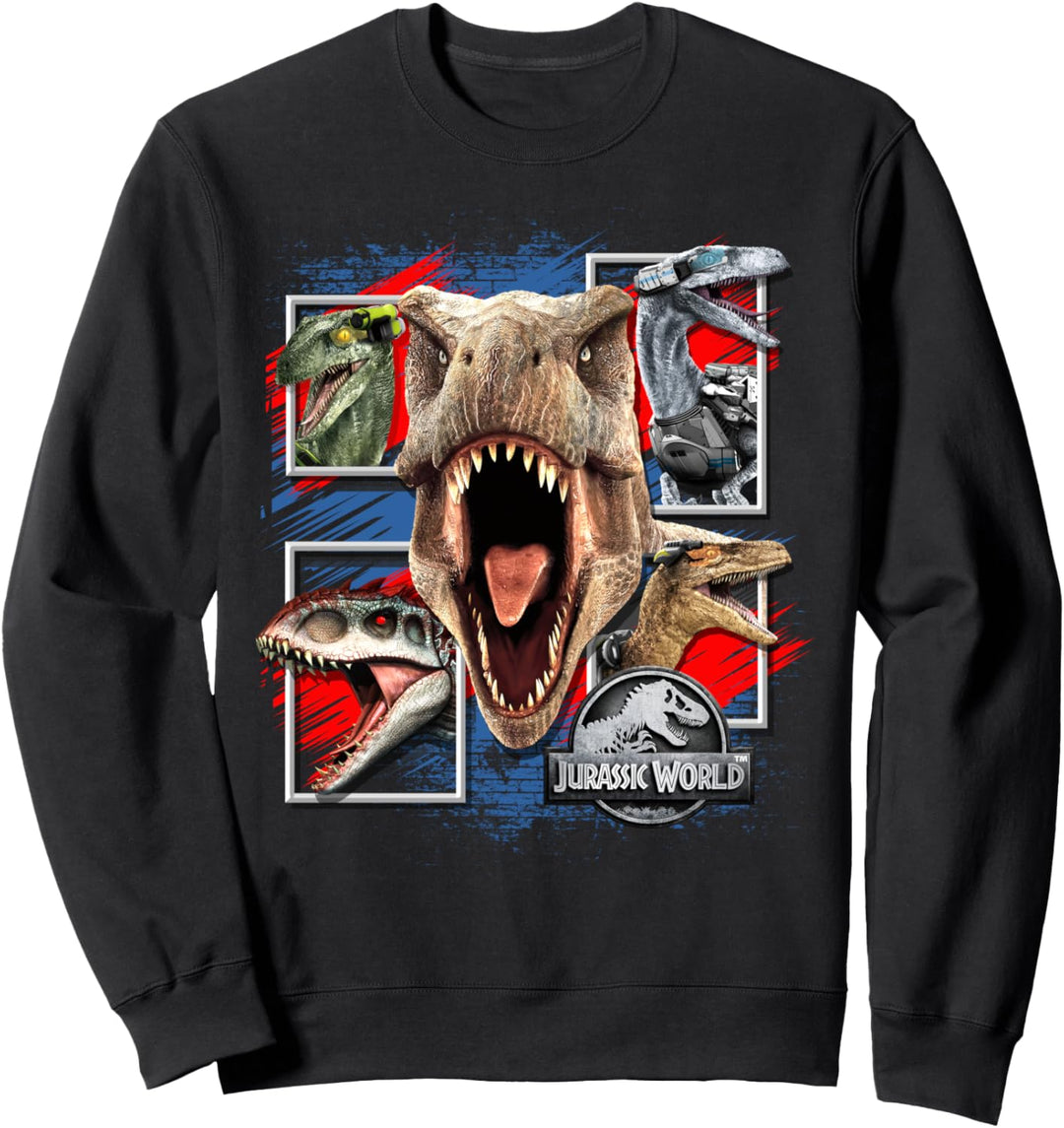 Jurassic World Dinosaurier-Box Sweatshirt