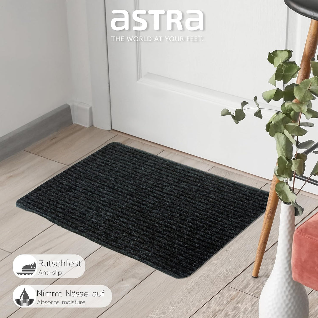 Astra Fussmatte innen anthrazit Schmutzfangmatte rutschfest – Türmatte 40x60 cm wasserabweisend – Ri