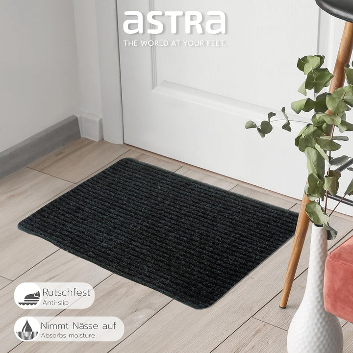Astra Fussmatte innen anthrazit Schmutzfangmatte rutschfest – Türmatte 40x60 cm wasserabweisend – Ri
