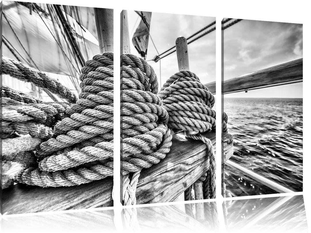 Pixxprint Tau auf einem Schiff 3Teiler 120x80 cm Leinwandbild Wandbild Kunstdruck