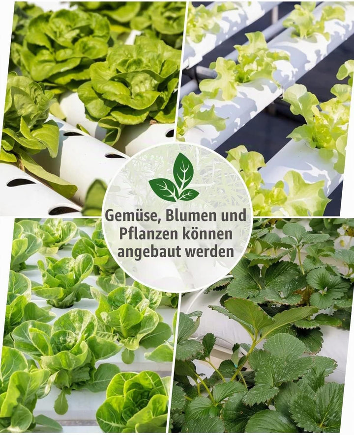 Kalolary Hydroponic Site Grow Kit, 108 Standorte 12 Rohre Hydroponisches System mit Wasserpumpe 4 Sc