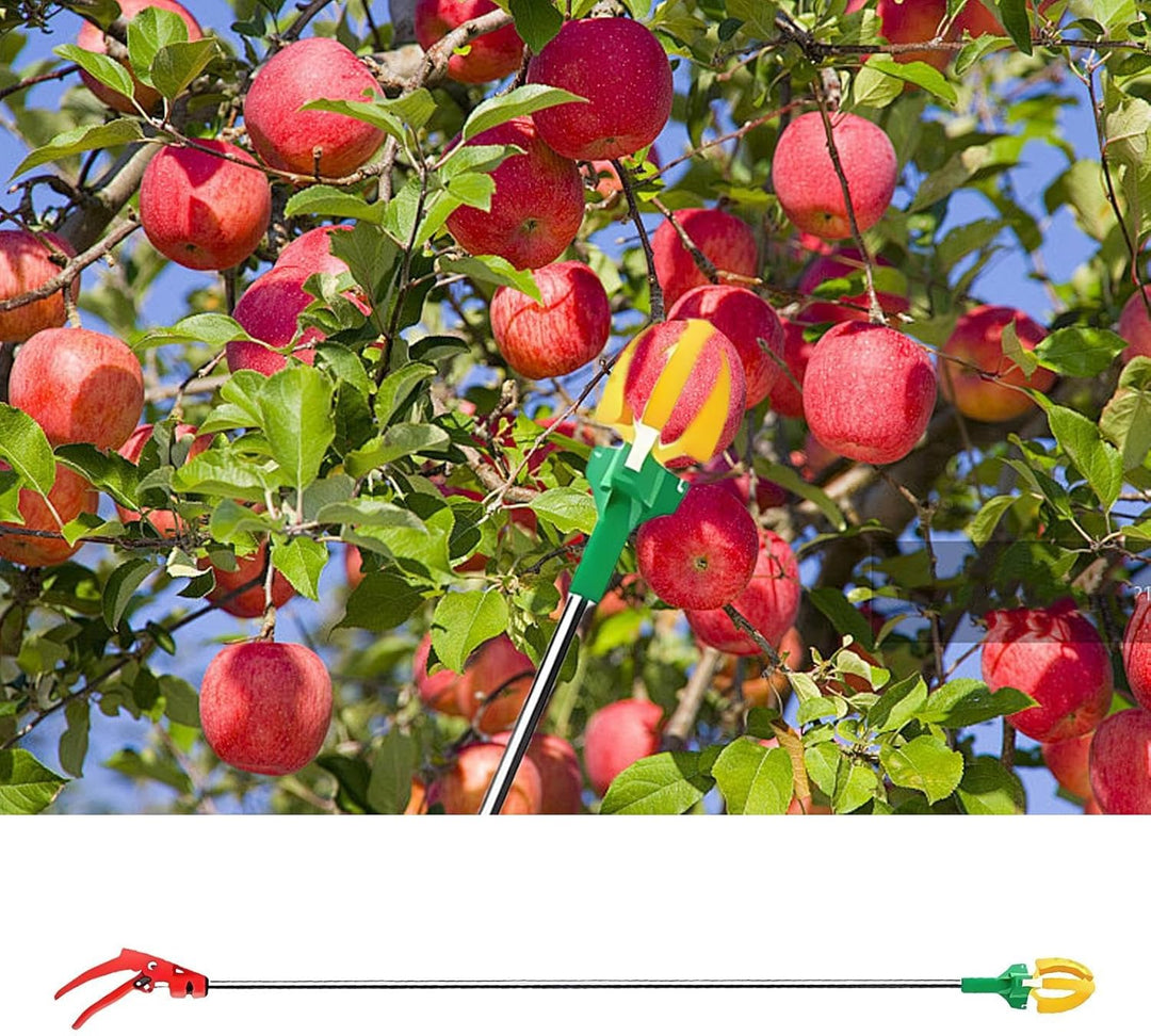Obstbaumpflücker, Teleskop-Obstpflücker mit drei Krallen, Astschneidefunktion, Handerntefänger für Z