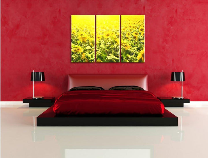 Pixxprint Riesiges Sonnenblumenfeld / 3-Teilig/Gesamtmass 120cm Leinwandbild bespannt auf Holzrahmen