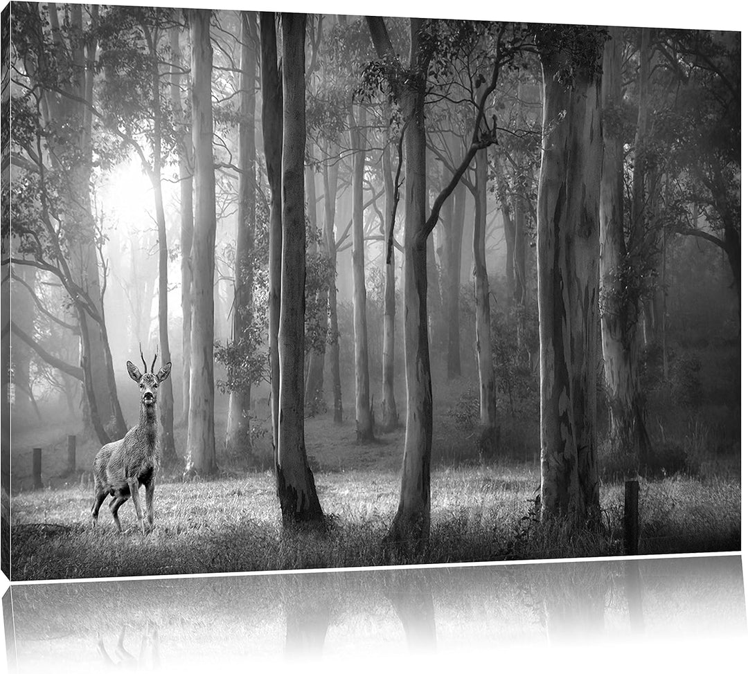 Pixxprint Hirsch im Wald als Leinwandbild/Grösse: 100x70 cm/Wandbild/Kunstdruck/fertig bespannt, 100