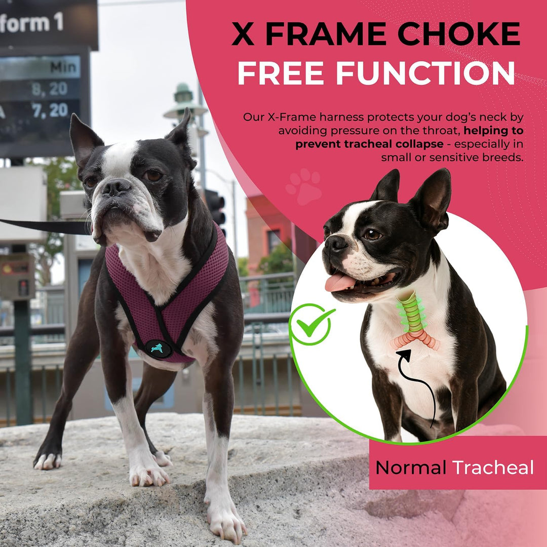 Gooby Comfort X Hundegeschirr zum Ziehen über den Kopf, Violett, Grösse S, patentierter erstickungsf