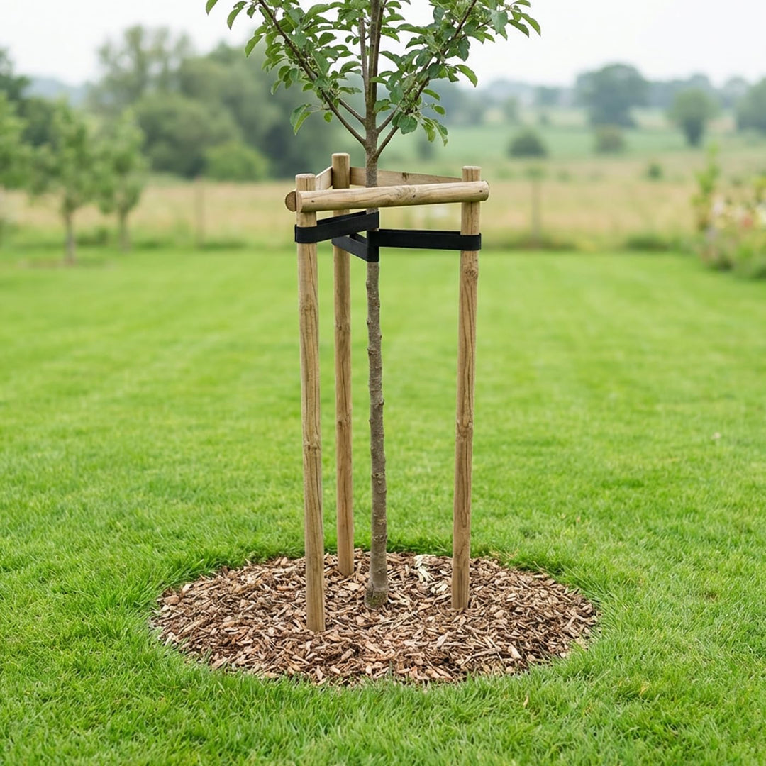 VOSS.garden Baumstützen Set 160cm, Baumpfahl, Dreibock, Baumbefestigung, Baumschutz, Rankhilfe, Baum