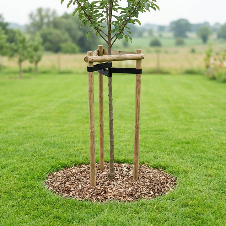 VOSS.garden Baumstützen Set 160cm, Baumpfahl, Dreibock, Baumbefestigung, Baumschutz, Rankhilfe, Baum