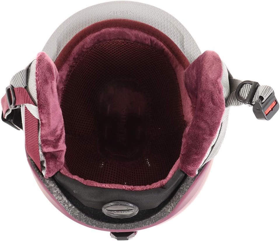 ALPINA ALBONA - Sicherer, Bruchfester & Individuell Anpassbarer Skihelm Für Erwachsene, cassis matt