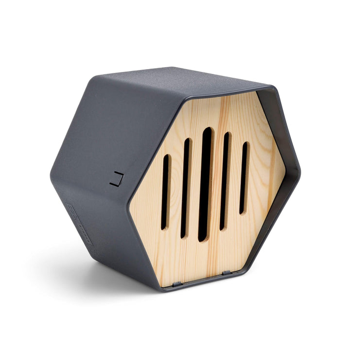 Capi Europe - Schmetterlingshaus Hive - 19x23x20 - Anthrazit - CAPI Biodiversity Hive - AHBUA001 Ant