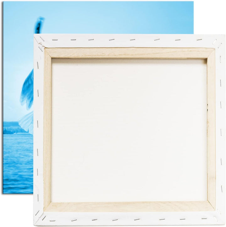 Fliegende Möwe über dem Bodensee im Format: 70x70 Effekt: Zeichnung als Leinwandbild, Motiv auf Echt