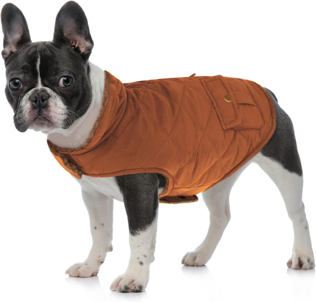 Queenmore Hundejacke Mittelgrosse Hunde Hundemantel Winter Warme Wintermantel Hund Wasserdicht Quilt