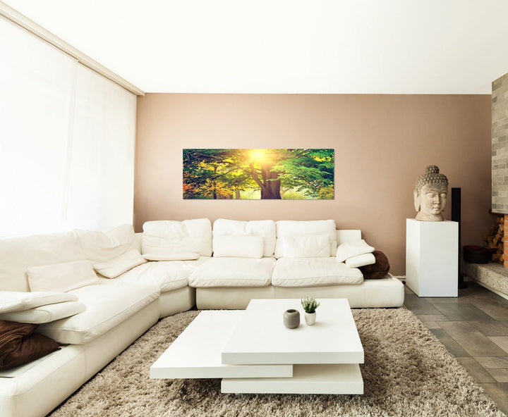 Paul Sinus Art Panoramabild auf Leinwand und Keilrahmen 120x40cm Park Bäume Herbst Blätter Sonnenlic