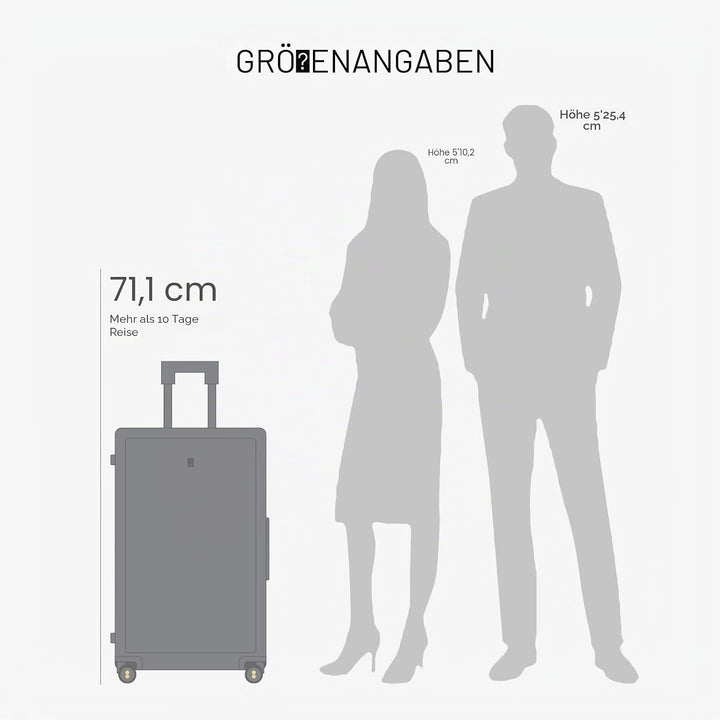 LEVEL8 Koffer Trolleys Serie strutturata Luminosa 20/24/26/28 pollici, 28 Inch, Business(74cm, 99L,B