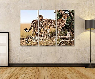 islandburner Bild Bilder auf Leinwand Gepard Geparden Raubkatze 3p XXL Poster Leinwandbild Wandbild