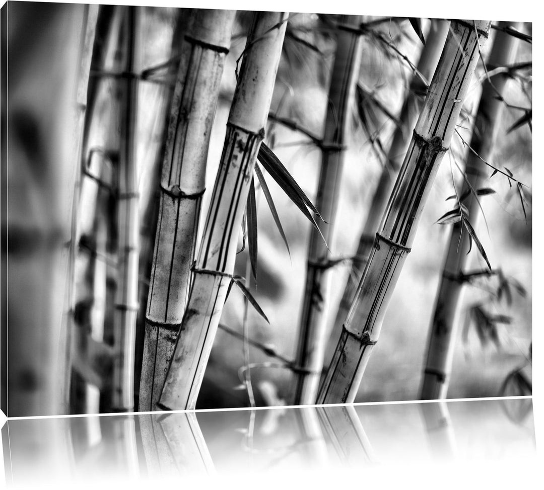 Pixxprint Alter Bambus Wald als Leinwandbild/Grösse: 100x70 / Wandbild/Kunstdruck/fertig bespannt, 1
