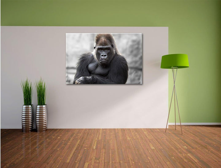 Pixxprint gelangweilter Gorilla als Leinwandbild/Grösse: 100x70 / Wandbild/Kunstdruck/fertig bespann